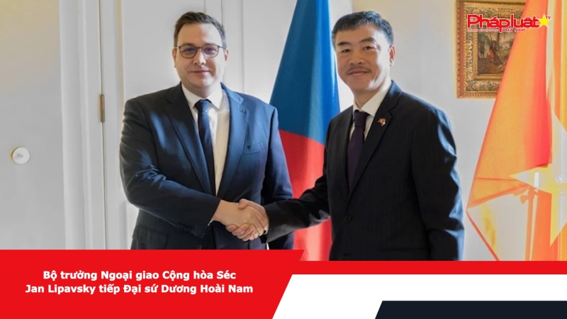 Bộ trưởng Ngoại giao Cộng hòa Séc Jan Lipavsky tiếp Đại sứ Dương Hoài Nam