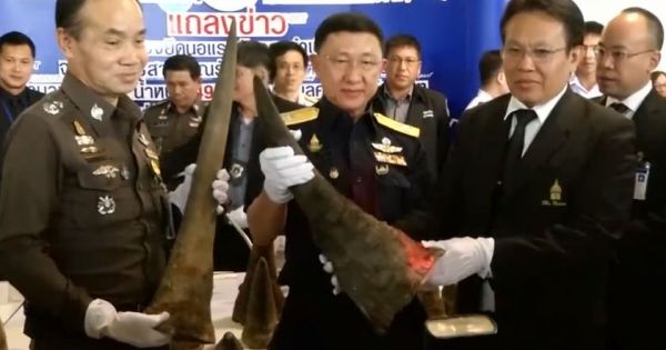 Thái Lan thu giữ lượng lớn sừng tê giác vận chuyển trái phép