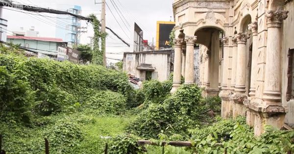Cỏ bao phủ biệt thự Pháp 100 tuổi ở Sài Gòn