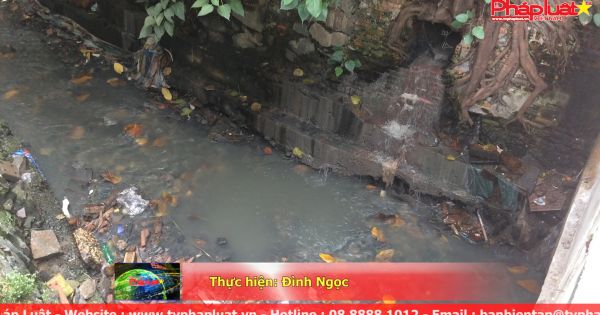 Kênh thoát nước chống ngập cho sân bay Tân Sơn Nhất kêu cứu