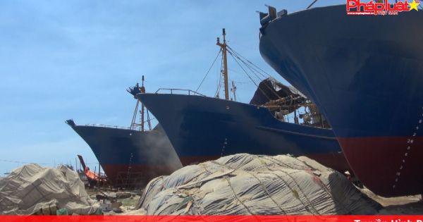 Bình Định: Bộ NN-PTNT làm việc với UBND tỉnh về công tác khắc phục sự cố tàu vỏ thép đóng mới theo NĐ 67