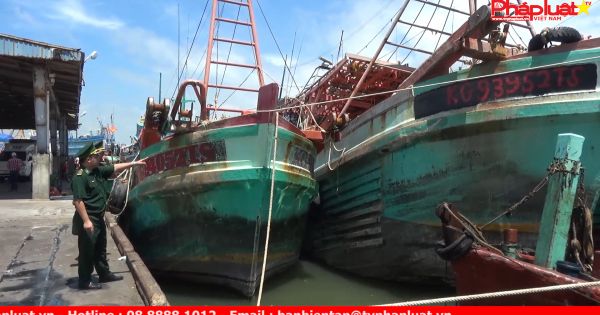 Vũng Tàu: 4 tàu cá khai thác hải sản trái phép vùng biển nước ngoài