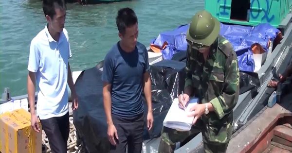 Bắt giữ 3 vụ nhập lậu cá các loại từ Trung Quốc vào Việt Nam​