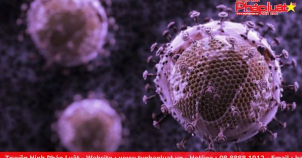 Siêu kháng thể tiêu diệt 99% chủng virus HIV