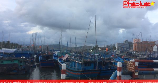 Bình Định: Tăng cường công tác phổ biến pháp luật cho ngư dân khai thác hải sản trên biển