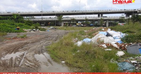 Đà Nẵng: người dân khốn khổ bên bãi rác lộ thiên