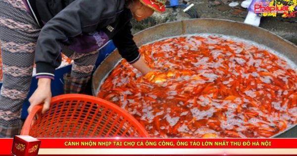 Cảnh nhộn nhịp tại chợ cá ông Công, ông Táo lớn nhất Thủ đô Hà Nội