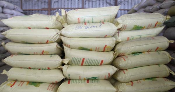 Cần Thơ: Phát hiện làm giả nhãn hiệu 1.000 tấn lúa giống