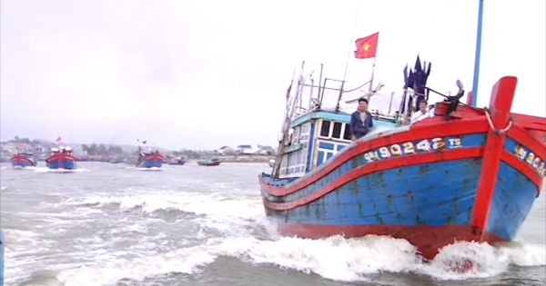 49.000 lượt ngư dân được hỗ trợ bảo hiểm thuyền viên tại Quảng Ngãi