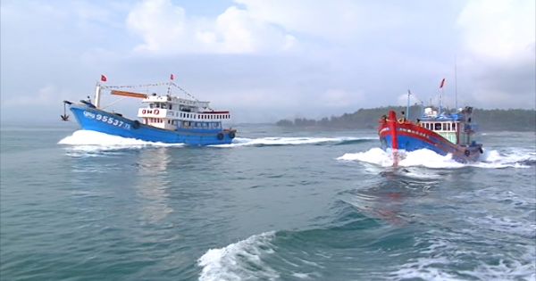 Quảng Ngãi: Thành lập 299 tổ ngư dân đoàn kết sản xuất trên biển