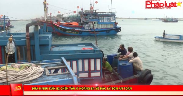 Đưa 8 ngư dân bị chìm tàu ở Hoàng Sa về đảo Lý Sơn an toàn