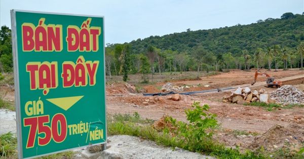 Kiên Giang: Chấn chỉnh công tác quản lý đất đai tại Phú Quốc