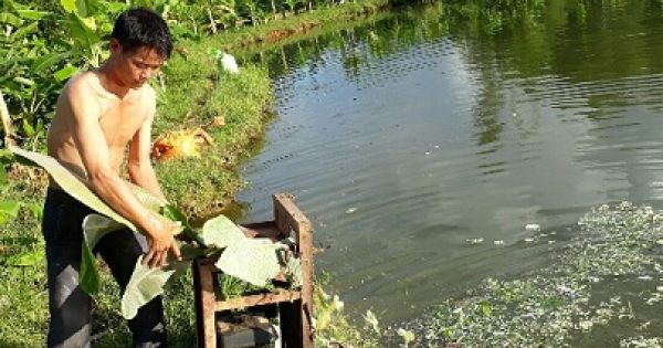 1.700 hộ dân ở TPHCM bị ảnh hưởng từ nguồn nước ô nhiễm