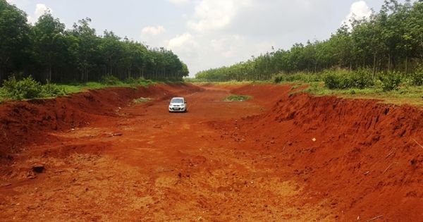 Đắk Lắk: Vườn cây người dân chết khô do chờ dời trạm BOT