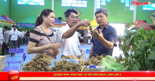 Quảng Nam: Khai mạc lễ hội sâm Ngọc Linh lần 2