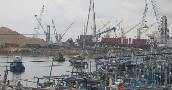 Buộc dừng thi công cầu cảng Quy Nhơn
