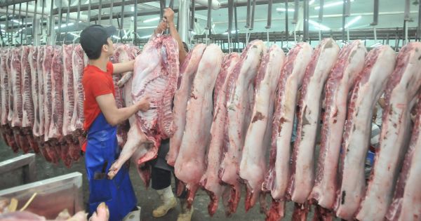 Phó thủ tướng triển khai các giải pháp ổn định thị trường thịt lợn