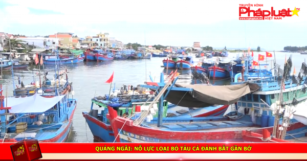 Quảng Ngãi: Nỗ lực loại bỏ tàu cá đánh bắt gần bờ