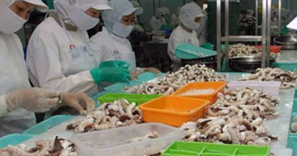Điểm báo 04/09/2018: Xuất khẩu bạch tuộc sang các thị trường lớn đều giảm