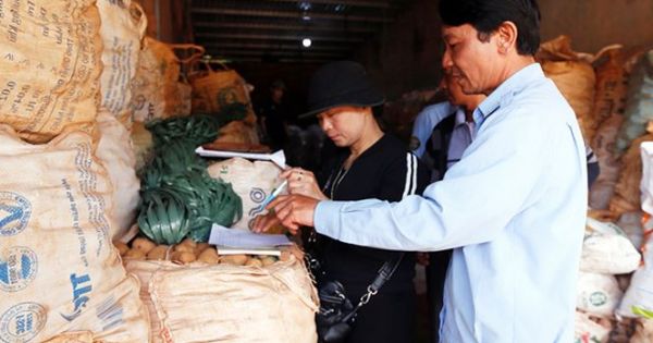 Chuyển hàng trăm tấn khoai Trung Quốc ra khỏi chợ nông sản Đà Lạt