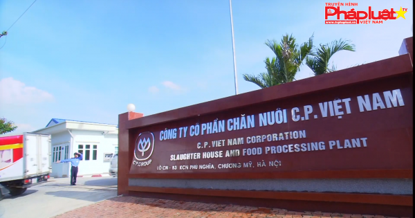 C.P Việt Nam: 25 năm khẳng định thương hiệu