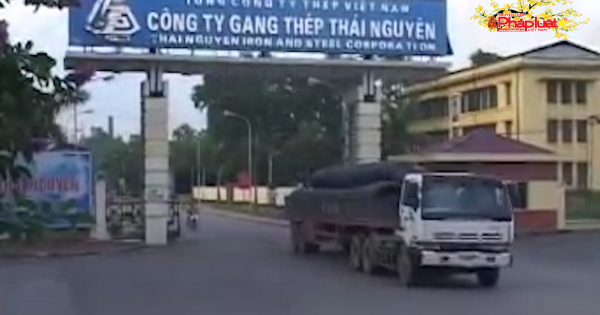 Cổ phiếu Gang thép Thái Nguyên liên tục lao dốc