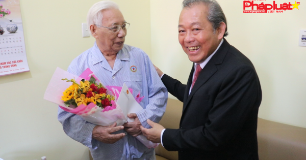 Phó Thủ tướng Trương Hòa Bình thăm Bệnh viện Quân y 175 nhân ngày thầy thuốc Việt Nam