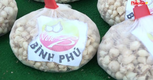 Quảng Ngãi: công bố nhãn hiệu tập thể “nén Bình Phú”
