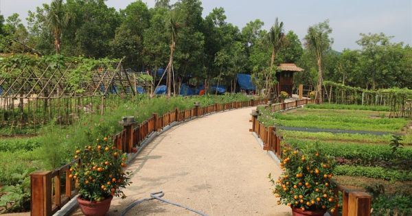 Tháo dỡ khu nghỉ dưỡng “chui” trong rừng phòng hộ ở Quảng Nam