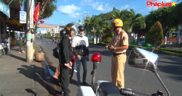 Kiên Giang: Phát hiện hàng trăm giấy phép lái xe giả