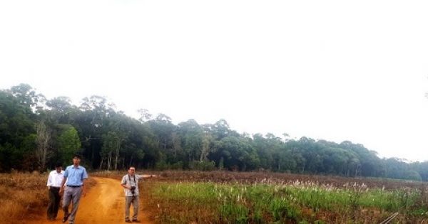 Đắk Nông: Khó tin “cấp nhầm” sổ đỏ gần 3 hecta rừng đặc dụng