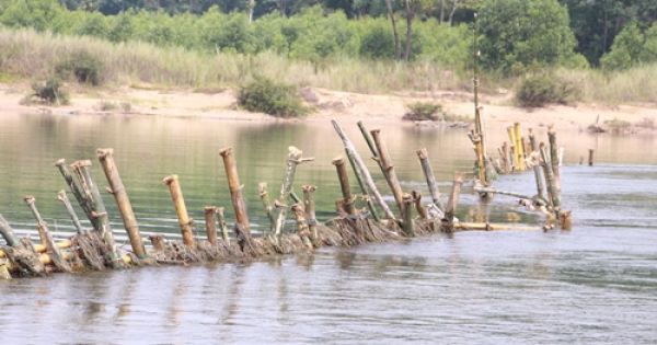 Người dân Huế đóng cọc tre trên sông, ngăn tàu thuyền khai thác cát