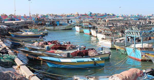Israel dỡ bỏ lệnh cấm đánh cá ngoài khơi Gaza
