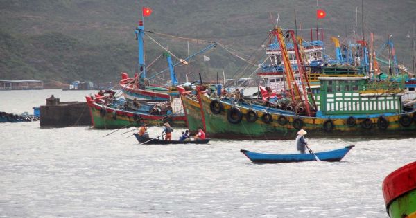 Bình Định: Đề nghị truy tố 16 chủ tàu cá vụ làm giả hồ sơ 