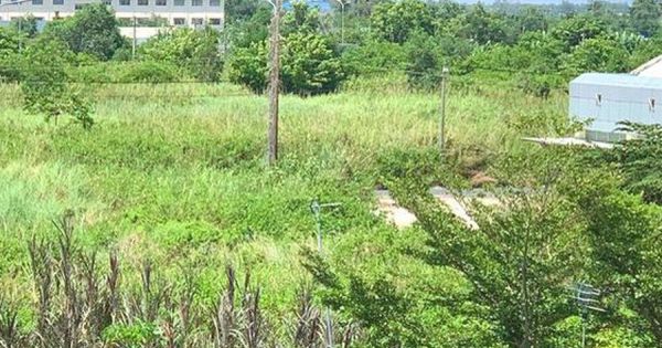 Kiên Giang: Dự án khu đô thị hàng trăm tỷ đồng bỏ hoang nhiều năm nay