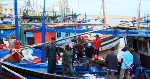 Phú Yên: Quyết tâm chấm dứt tình trạng vi phạm khai thác hải sản ở biển nước ngoài