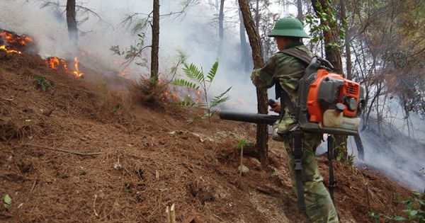 Nghệ An: Một người tử vong khi chữa cháy rừng