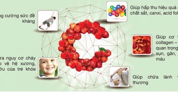 Acerolo Cherry là “Nữ hoàng Vitamin C tự nhiên” với hàm lượng C cao nhất thế giới