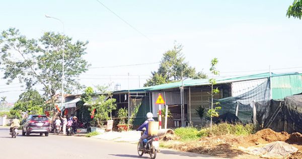 Lâm Đồng: Thanh tra việc cấp đất không thông qua đấu giá tại Bảo Lộc