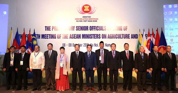 Hội nghị AMAF+3 đã thảo luận và thông qua một số nội dung ưu tiên trong lĩnh vực nông nghiệp.
