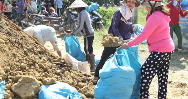 Đắk Lắk: Gồng mình đắp đê cứu hơn 1.000ha lúa