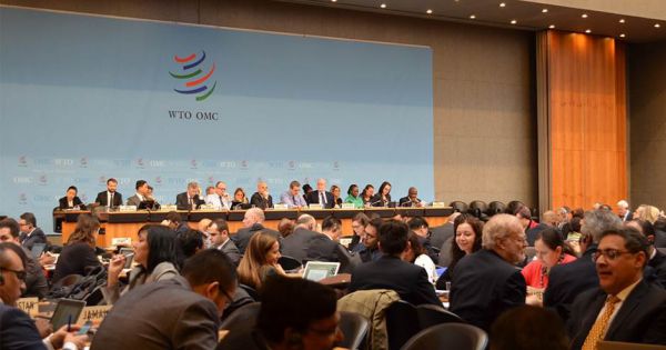 WTO lập ban hội thẩm xử lý tranh cãi Mỹ-Trung về tấm pin Mặt trời