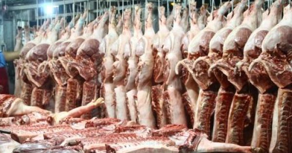 Một nhà hàng BBQ bị phạt, tiêu hủy 210 kg thịt heo không rõ nguồn gốc
