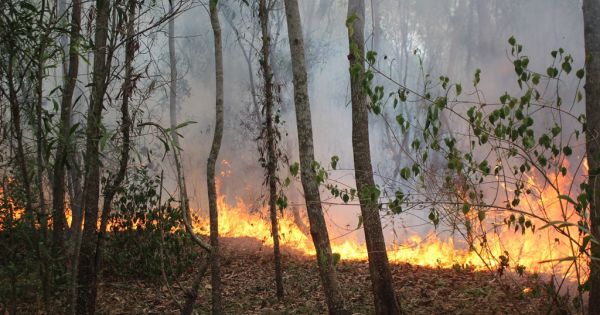 Liên tiếp cháy rừng quy mô lớn xảy ra tại Quảng Nam