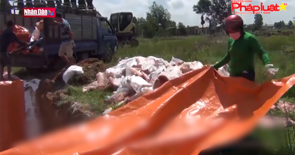 Đồng Nai: Bộ NN-PTNT đề nghị công an xử lý hành vi vứt xác lợn dịch ra môi trường