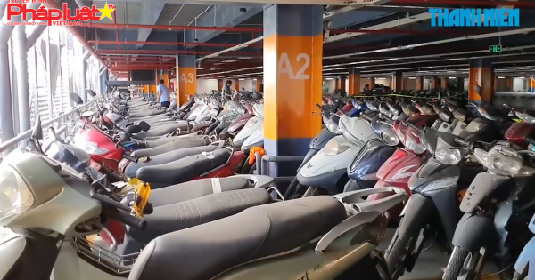 Hàng trăm xe tay ga bị ‘bỏ quên’ không ai chịu lấy ở sân bay Tân Sơn Nhất