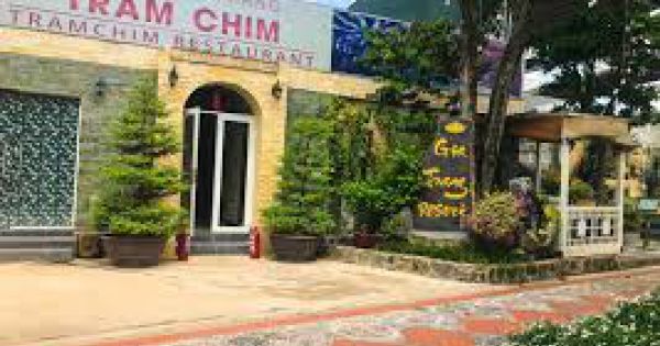 UBND TPHCM yêu cầu khẩn trương cưỡng chế công trình Tràm Chim Resort xây dựng không phép