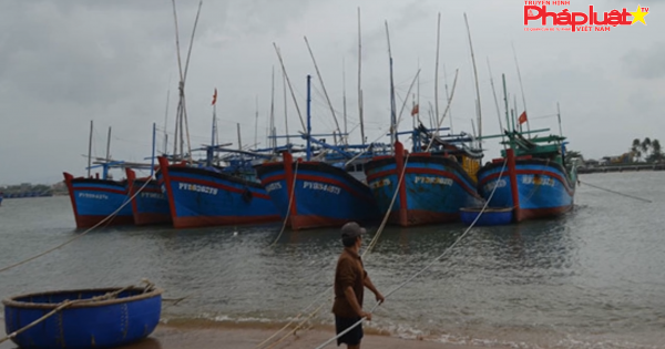 Bình Định: Còn 7 tàu cá với 51 ngư dân trong vùng nguy hiểm của bão số 6
