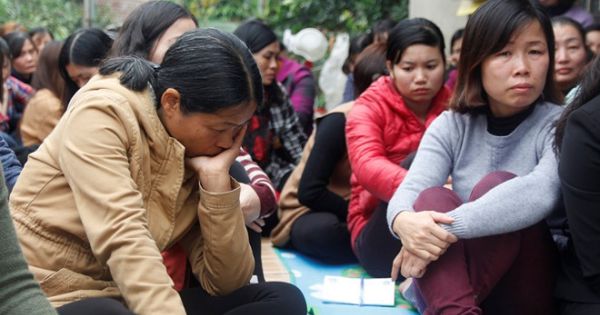 Hà Nội: Hàng loạt giáo viên ở Sóc Sơn nhận thông báo chấm dứt hợp đồng