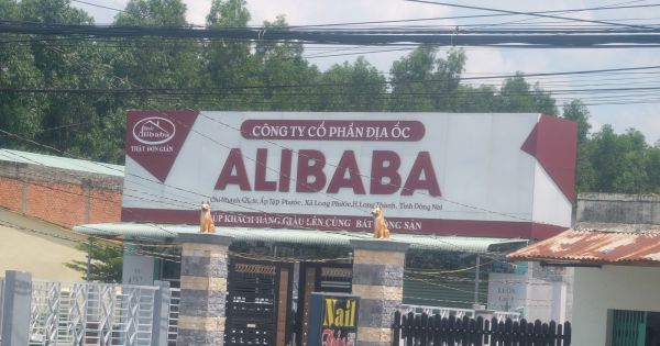 Điều tra dấu hiệu tiếp tay cho sai phạm của Công ty Alibaba